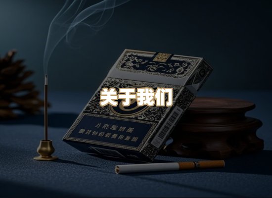 关于蓝帝网